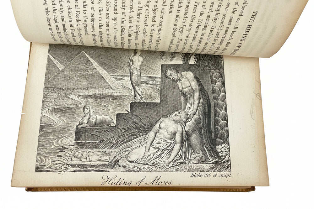 Open book showing William Blake's The Hiding of Moses in Remember Me! (1825): two women beside an infant in a basket, with pyramids beyond.
