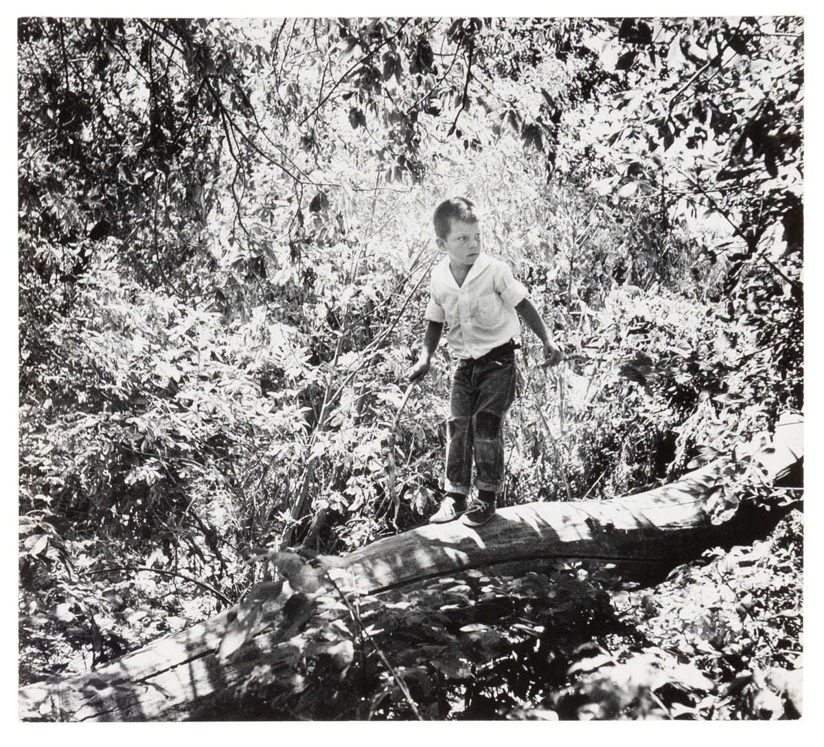 Esther Bubley — Childhood, 1952–1957 — Four gelatin silver photographs — historical auction photograph 3