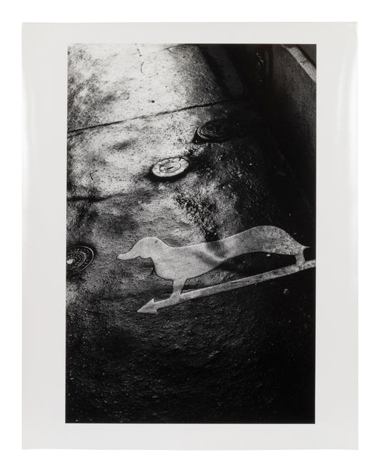 Ralph Gibson — Seven untitled works — historical auction photograph 3