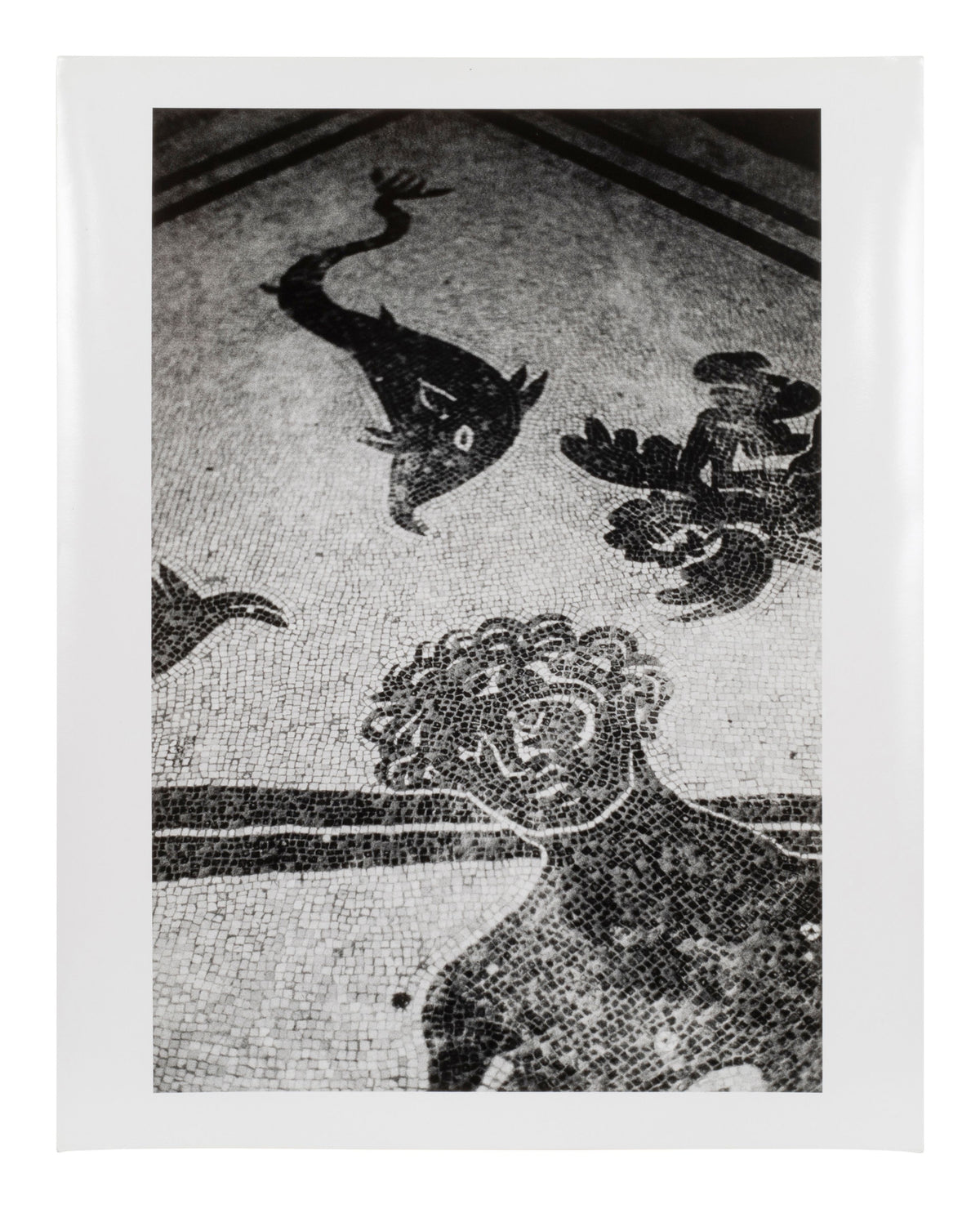 Ralph Gibson — Seven untitled works — historical auction photograph 5