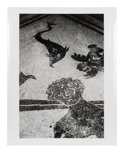 Ralph Gibson — Seven untitled works — historical auction photograph 5