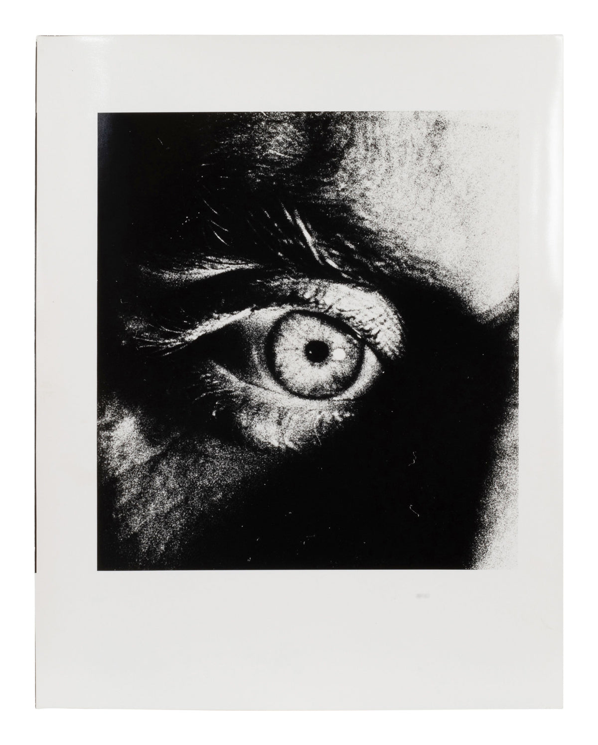 Ralph Gibson — Seven untitled works — historical auction photograph 8