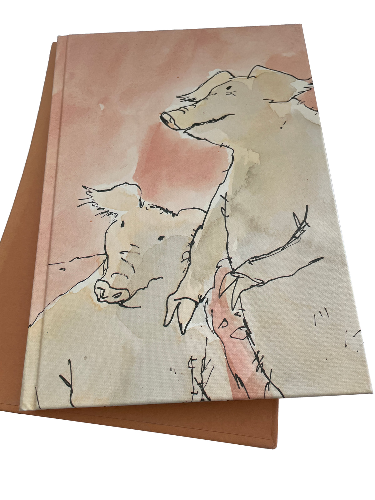 Illustrated cloth cover of Animal Farm with two pigs, resting on its orange-brown slipcase.