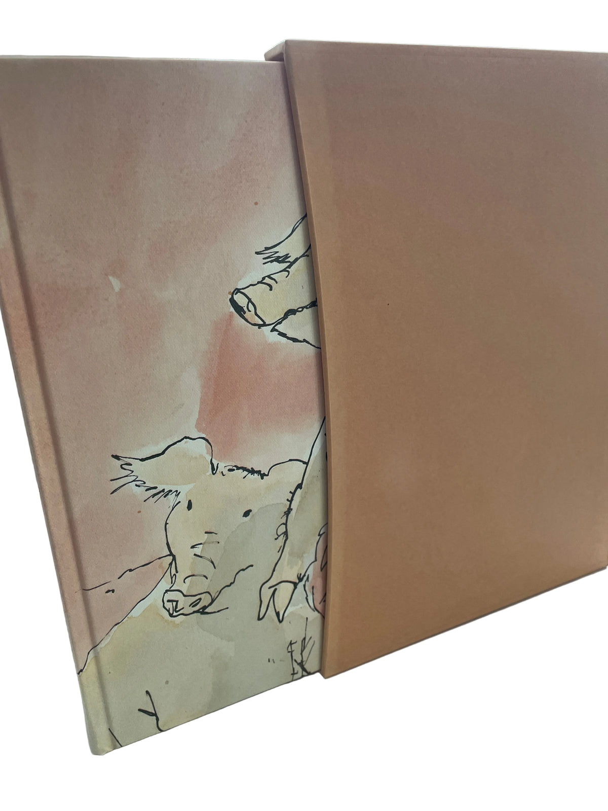 Animal Farm standing upright beside its orange-brown slipcase, with part of the illustrated pig cover visible.