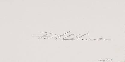 Paul Blanca — Julie Stanzak — historical auction photograph 2
